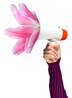 sidebeeld_strategie sidebeeld_strategie